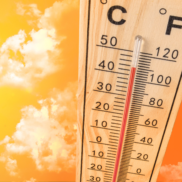 A Cooler Home Starts with these Energy Savings Tips
